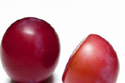 Illawarra Plum: Nature’s Hidden Ruby of the Aussie Coast