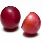 Illawarra Plum: Nature’s Hidden Ruby of the Aussie Coast